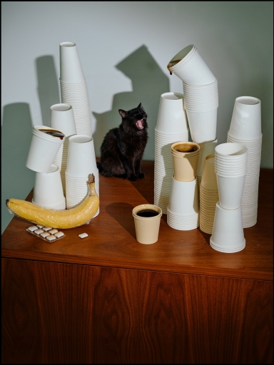 Black Coffee Black Cat FIN