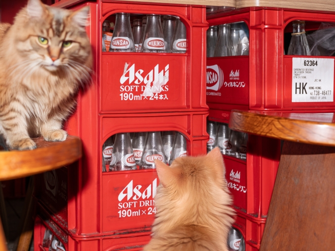 DSF4970 Bearbeitet ongoing