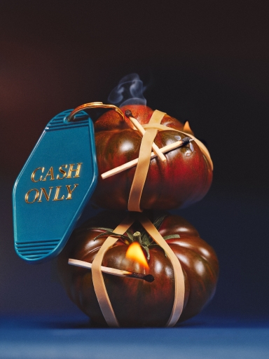 New Stuff 262846 Fin Cash