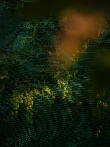 VJ Keller Am See 001