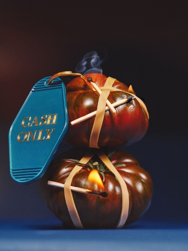 New Stuff 262846 Fin Cash