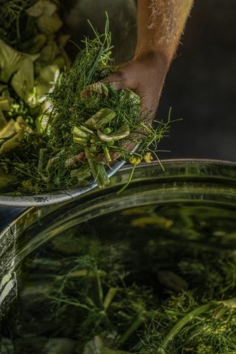 Lipp Fenchel Geist 054